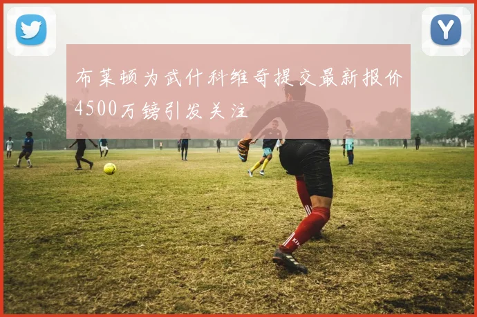 布莱顿为武什科维奇提交最新报价4500万镑引发关注